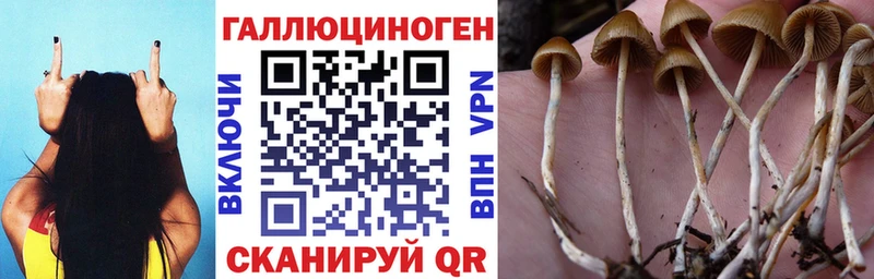 Галлюциногенные грибы мухоморы  купить  сайты  Черноголовка 