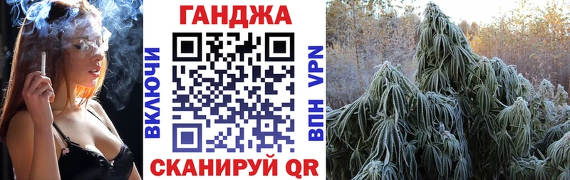 Бошки Шишки планчик Черноголовка